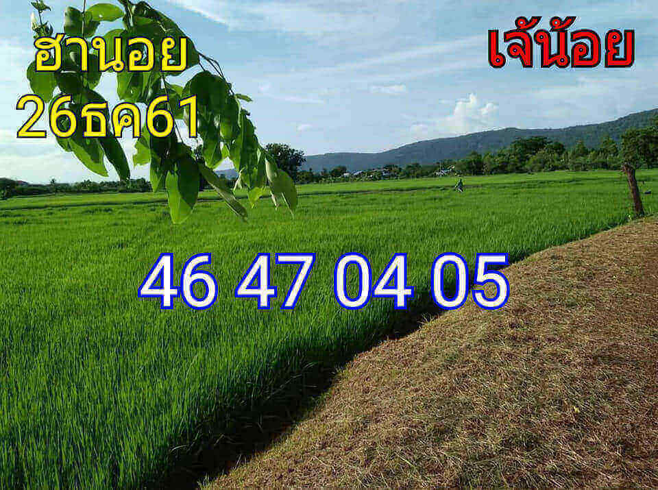 หวยฮานอยแบ่งปันฟรี 26/12/61 2