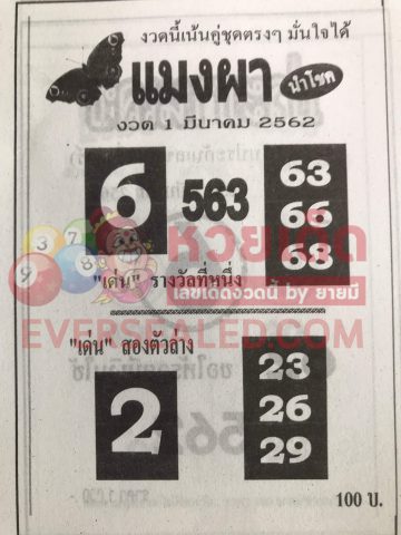 หวยแมงผา 1/3/62